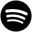 Spotify Icon
